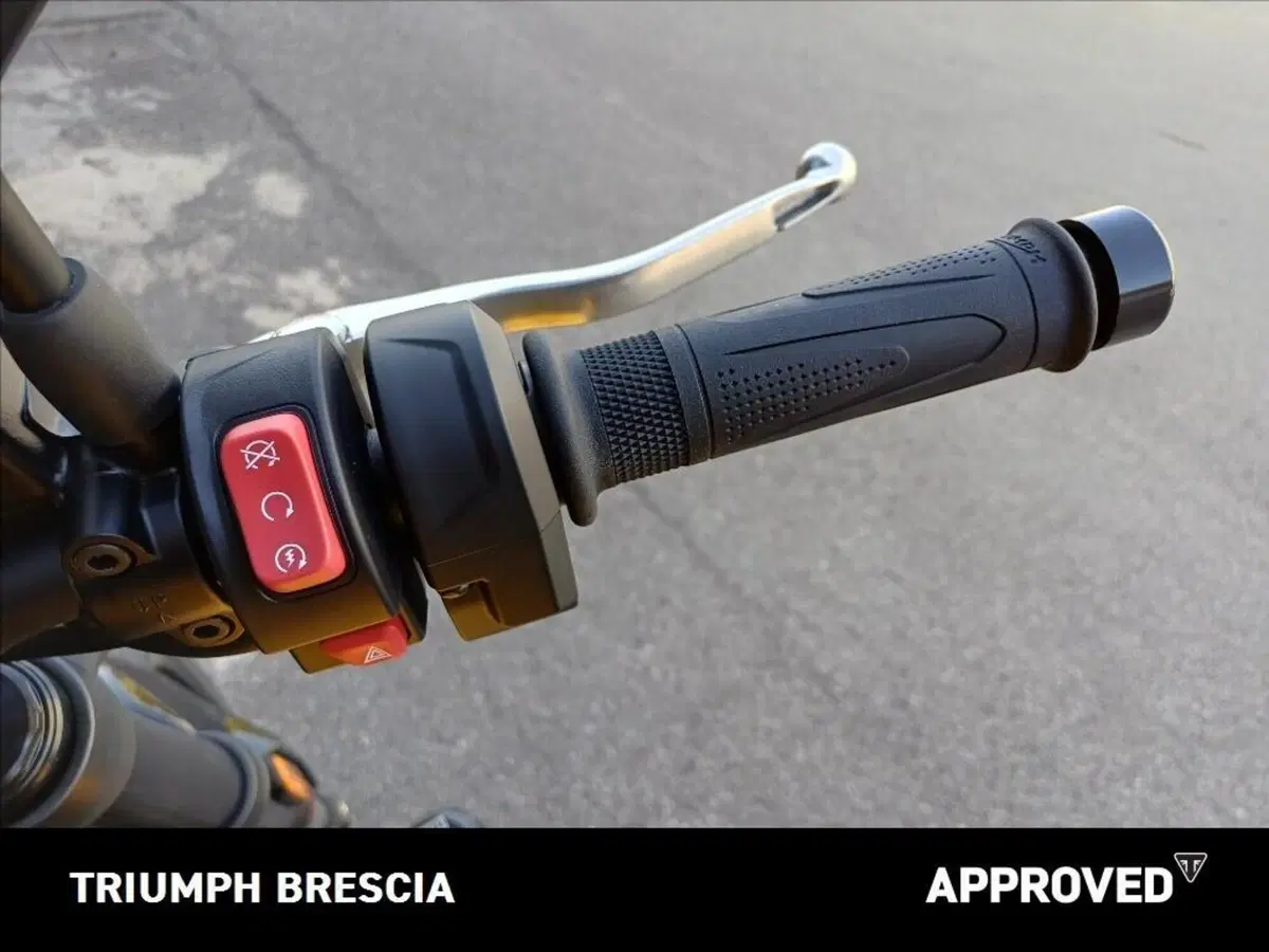Triumph Trident 660 (2026) (10)