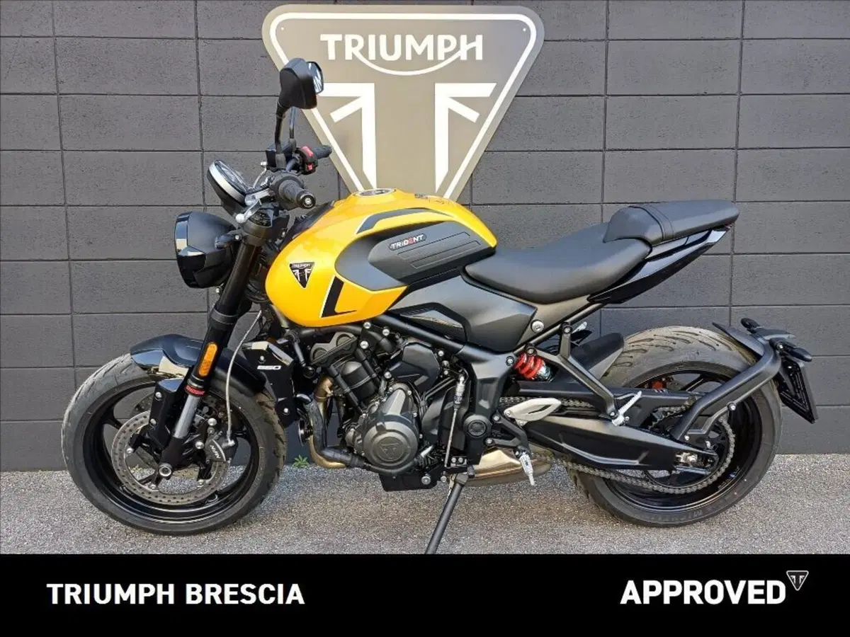 Triumph Trident 660 (2026) (11)