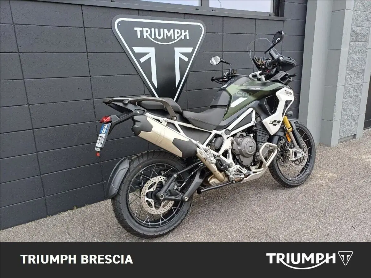 Triumph Tiger 1200 Rally Pro (2024 - 26) (3)