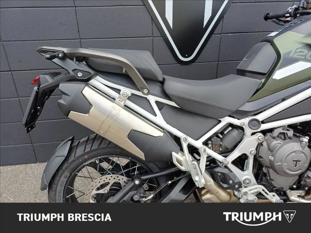 Triumph Tiger 1200 Rally Pro (2024 - 26) (4)