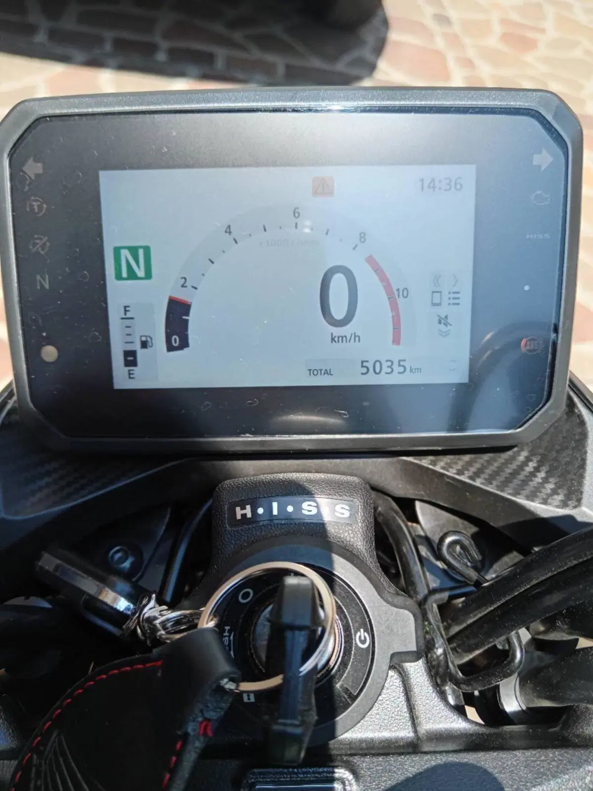 Honda CB 500 Hornet (2024 - 25) (5)