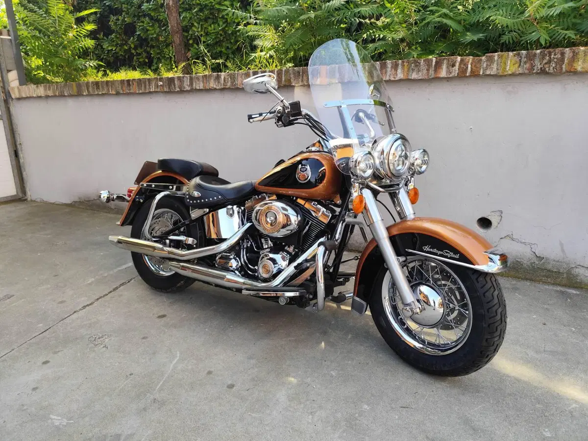 Harley-Davidson 1584 Heritage Classic (2008 - 10) - FLSTC (2)