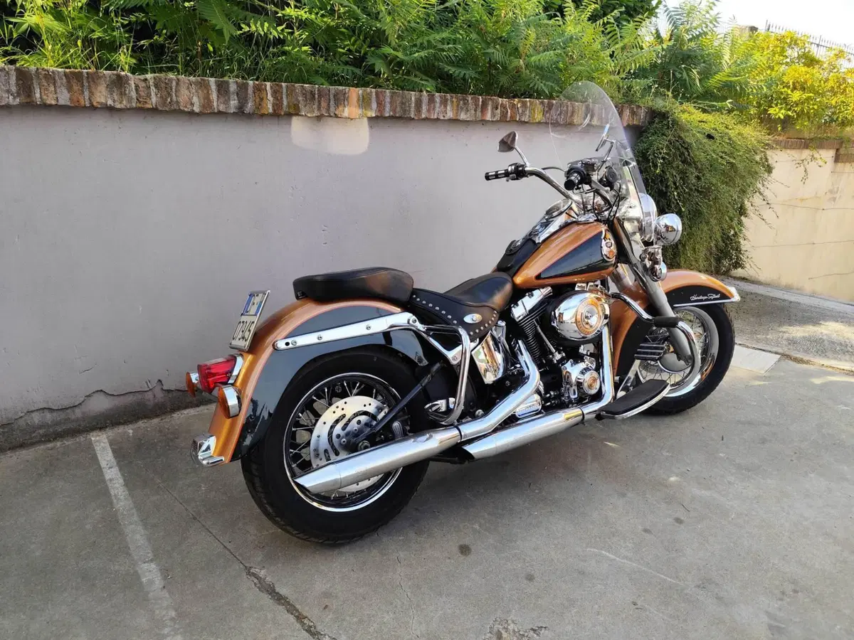 Harley-Davidson 1584 Heritage Classic (2008 - 10) - FLSTC (4)