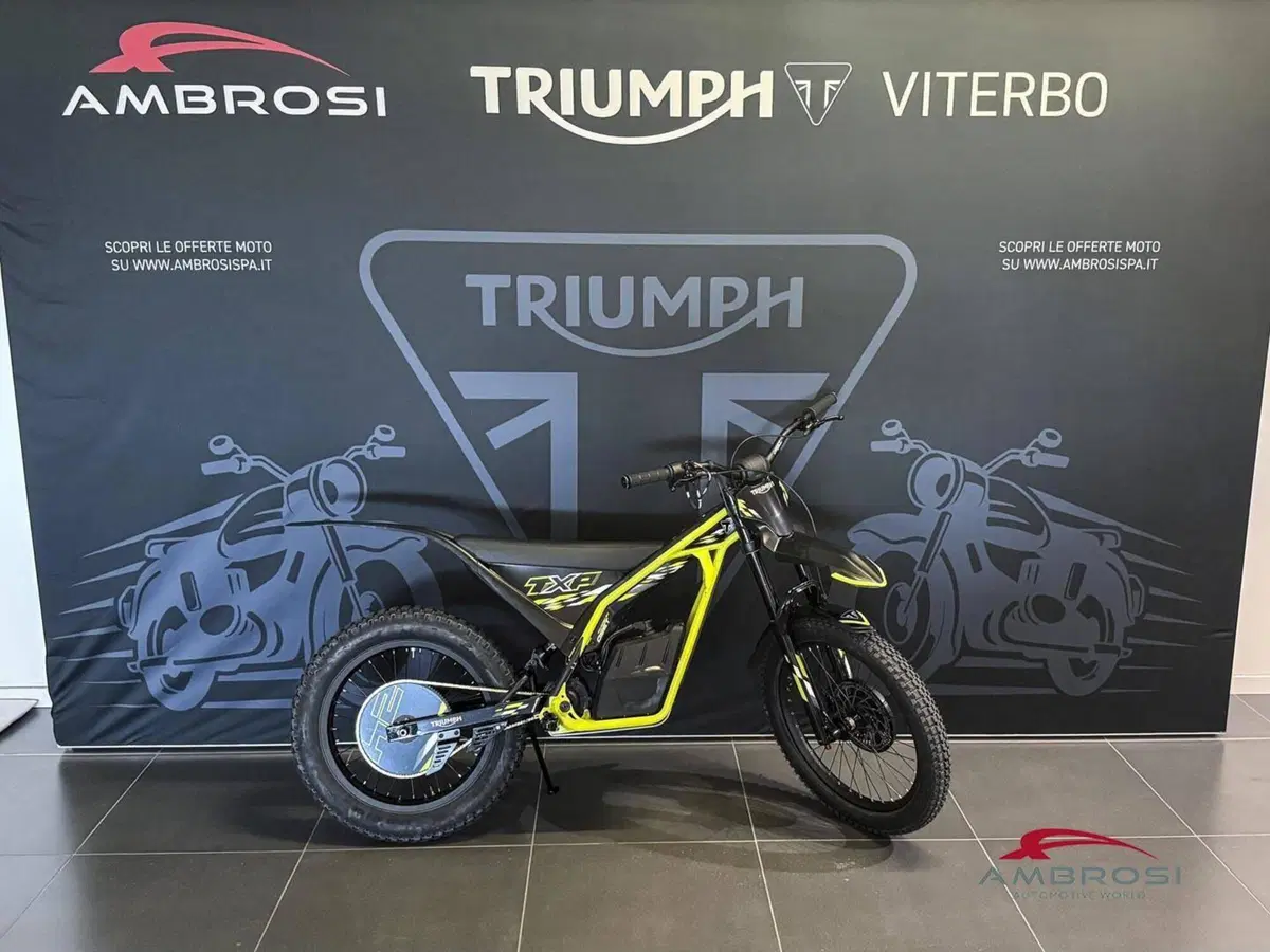 Triumph TXP-24 (2026) (2)