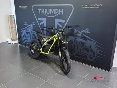 Triumph TXP-24 (2026) nuova