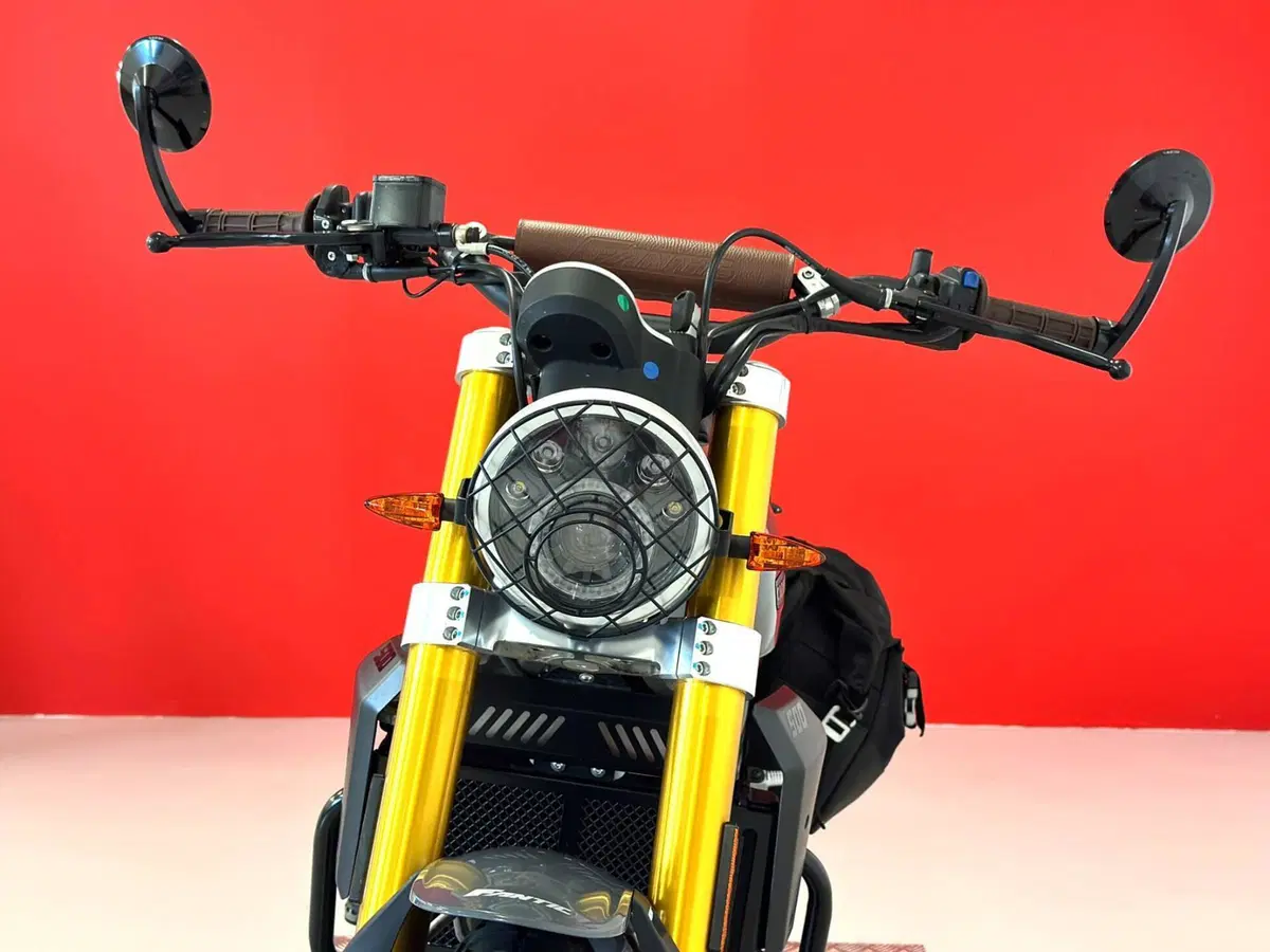 Fantic Motor Caballero 500 Scrambler Deluxe (2021 - 23) (14)