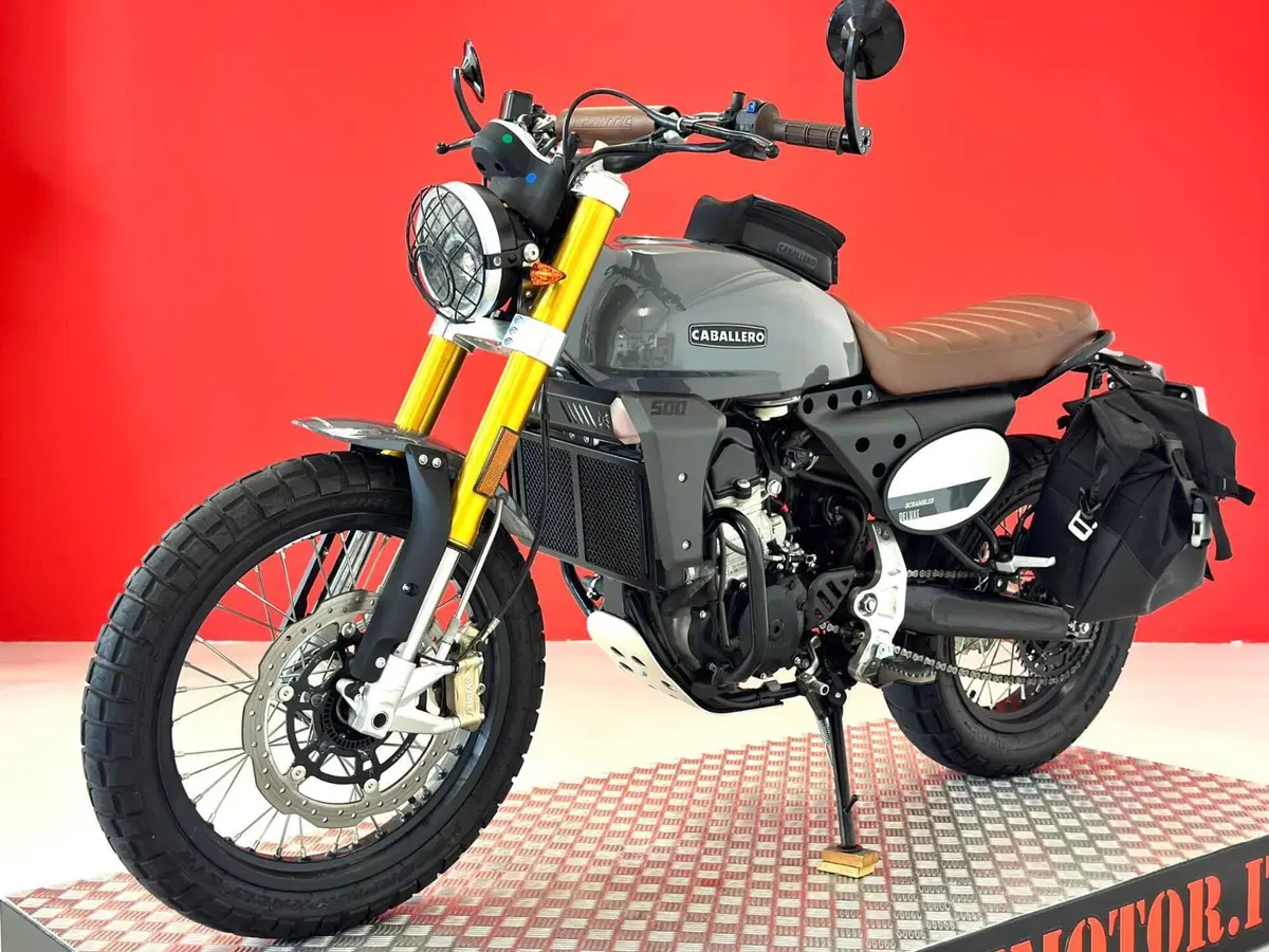 Fantic Motor Caballero 500 Scrambler Deluxe (2021 - 23) (15)