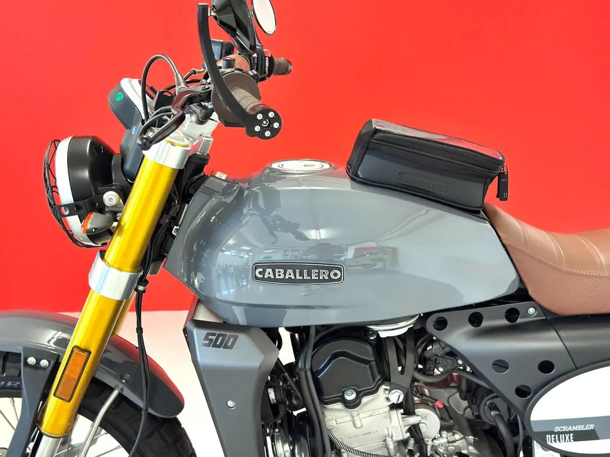 Fantic Motor Caballero 500 Scrambler Deluxe (2021 - 23) (16)