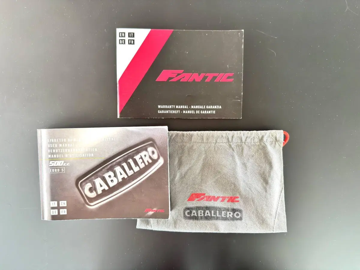 Fantic Motor Caballero 500 Scrambler Deluxe (2021 - 23) (19)