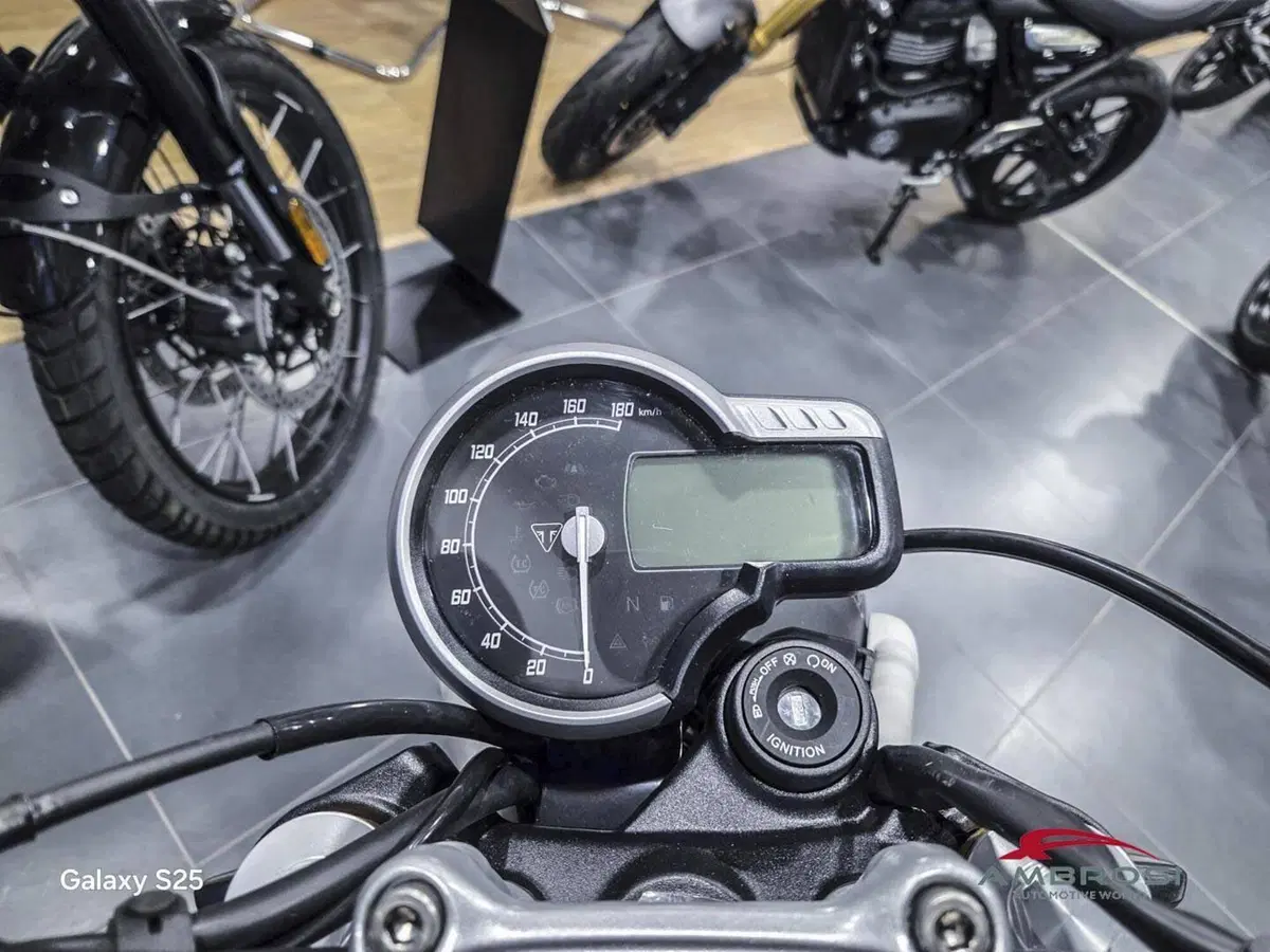 Triumph Scrambler 400 X (2024 - 26) (5)