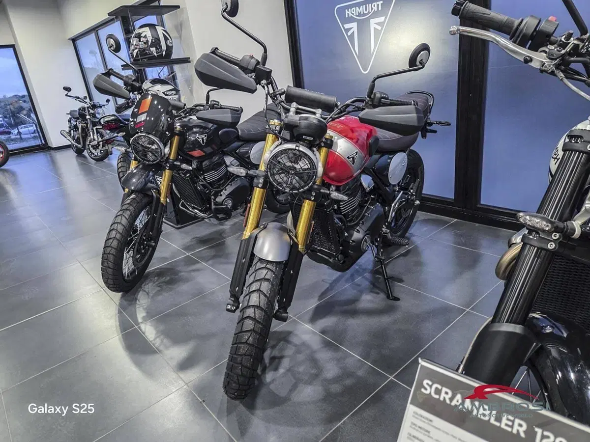 Triumph Scrambler 400 X (2024 - 26) (2)