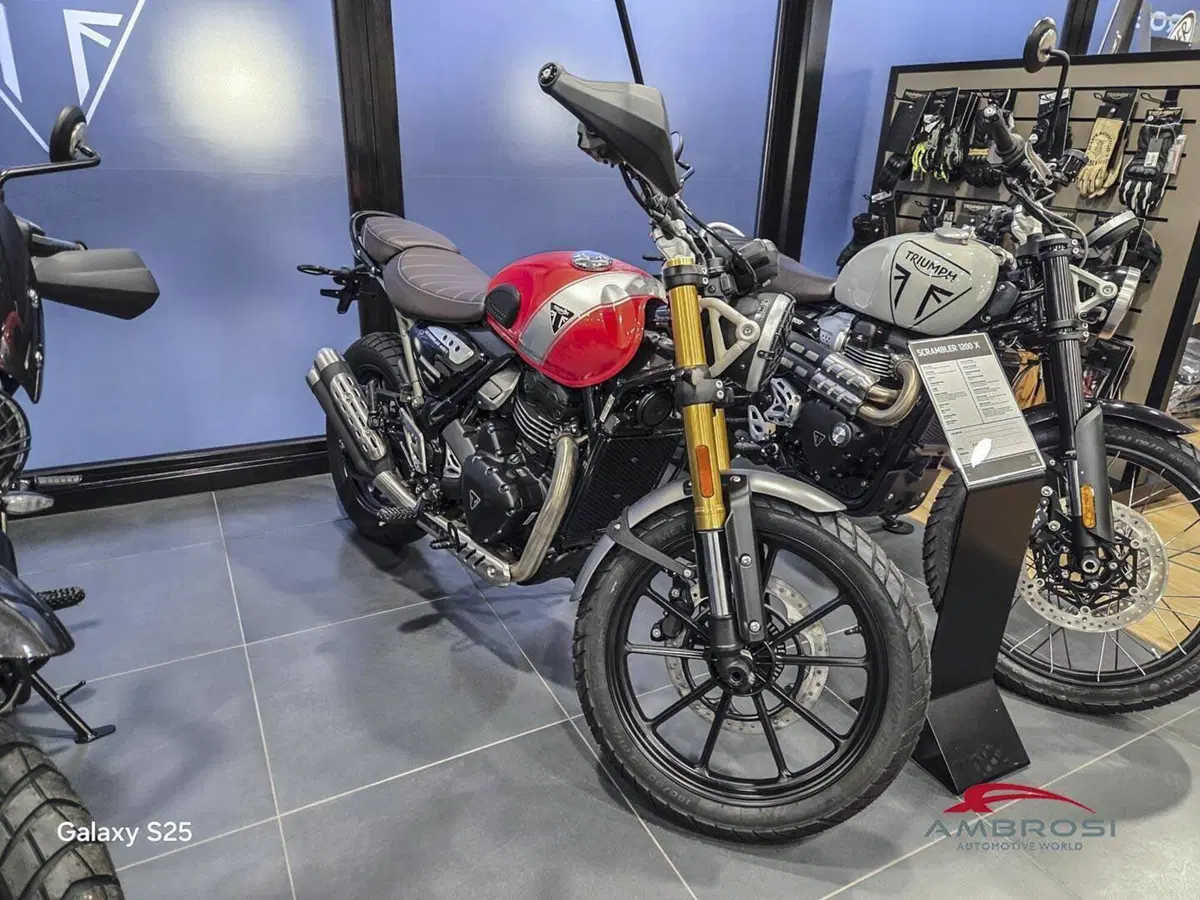 Triumph Scrambler 400 X (2024 - 26) (3)