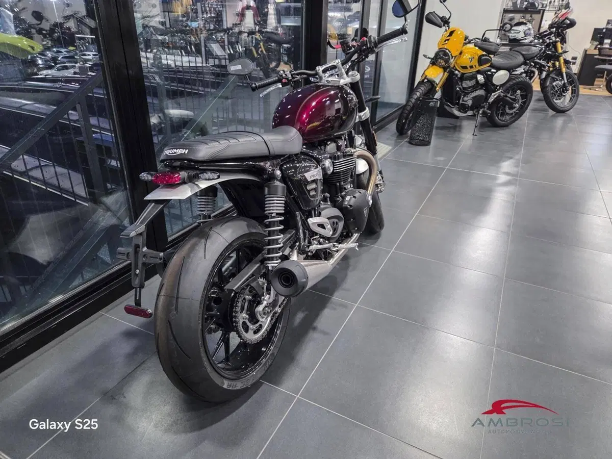 Triumph Speed Twin 1200 (2025 - 26) (2)