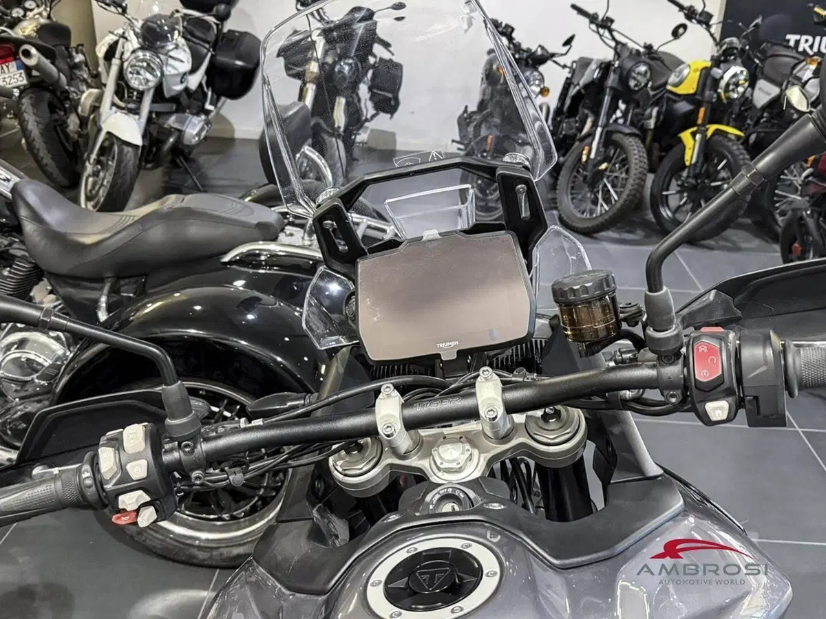 Triumph Tiger 900 GT (2024 - 26) (2)