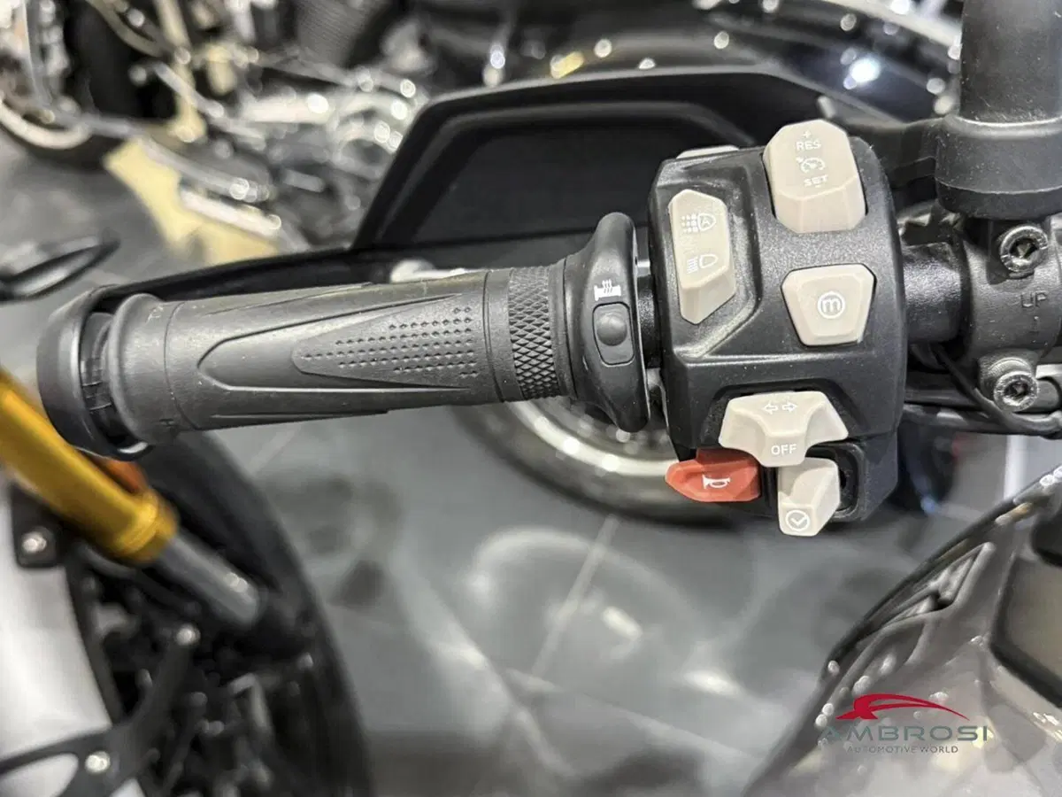 Triumph Tiger 900 GT (2024 - 26) (5)