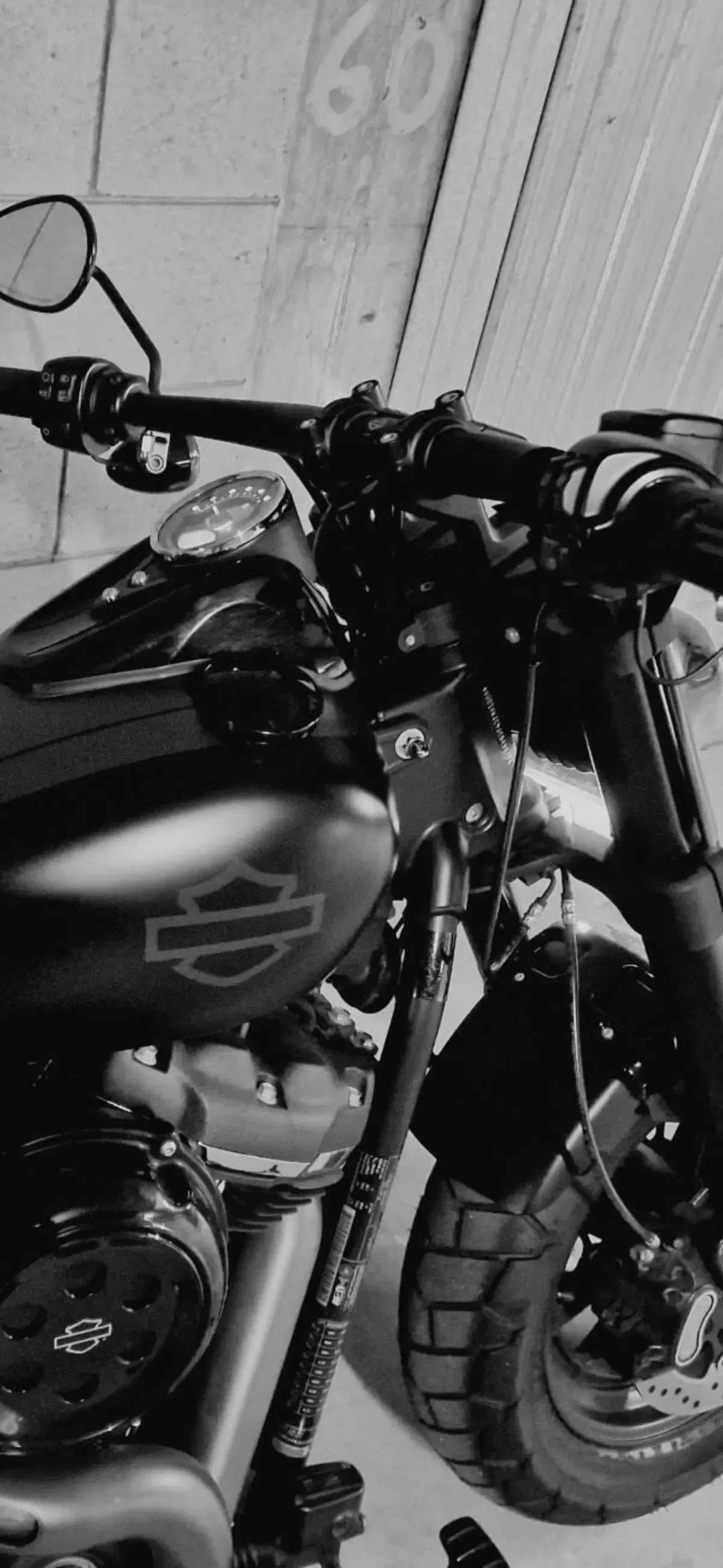 Harley-Davidson 107 Fat Bob (2017 - 20) - FXFB (8)