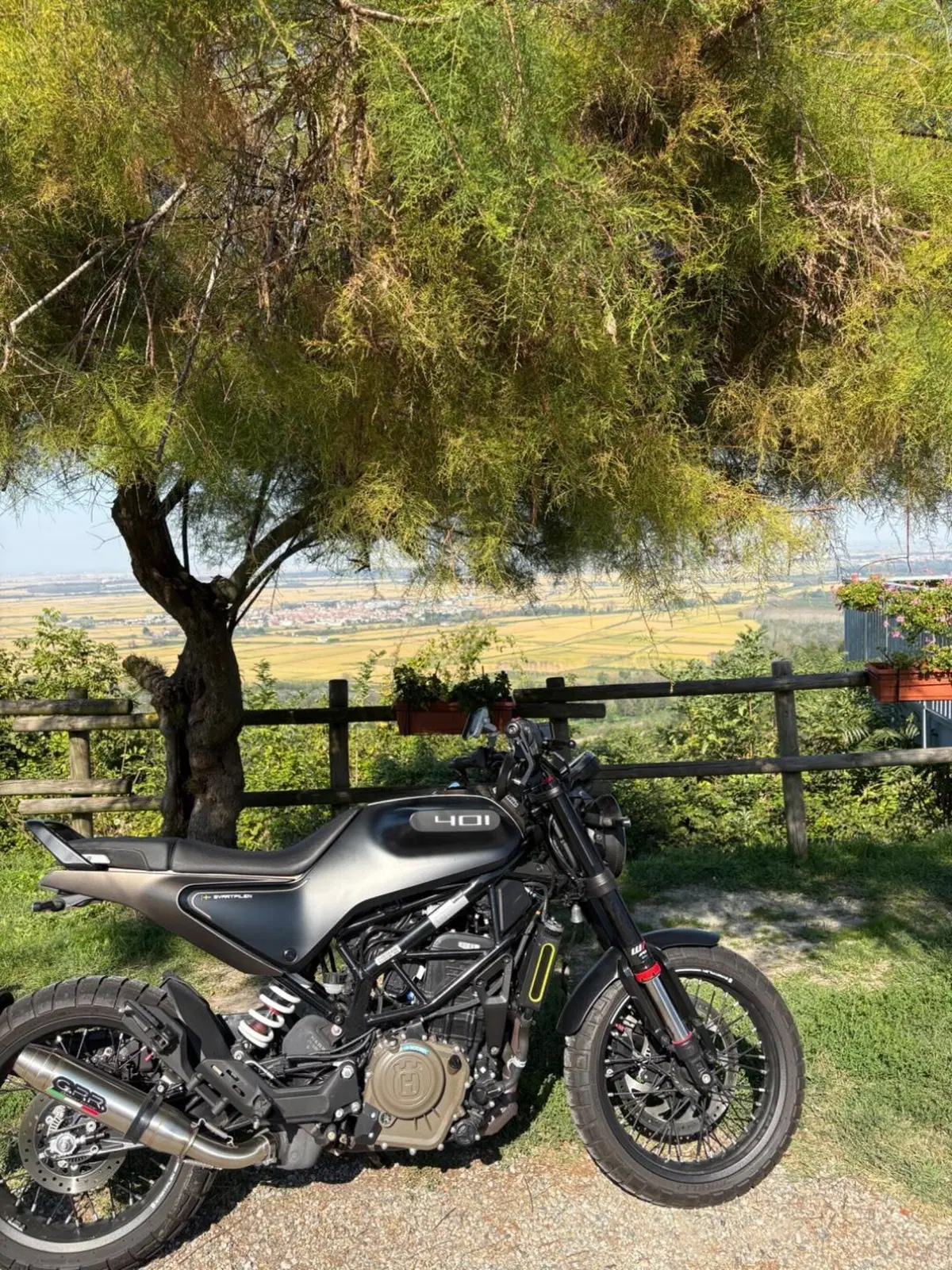 Husqvarna Svartpilen 401 (2021 - 23) (4)