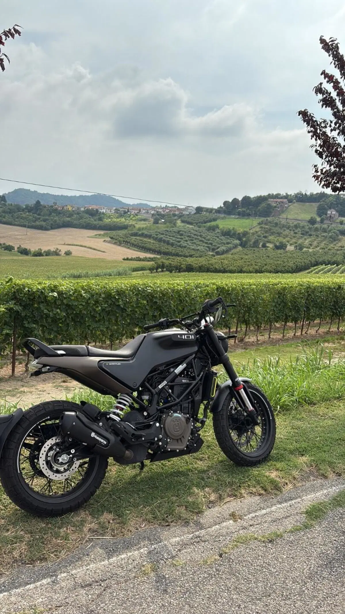 Husqvarna Svartpilen 401 (2021 - 23) (6)