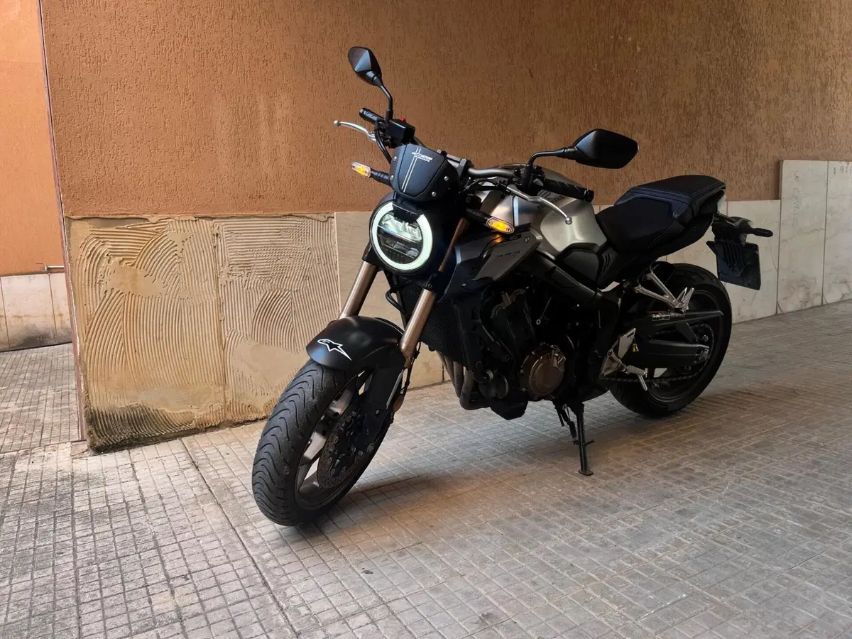 Honda CB 650 R (2019 - 20) (2)