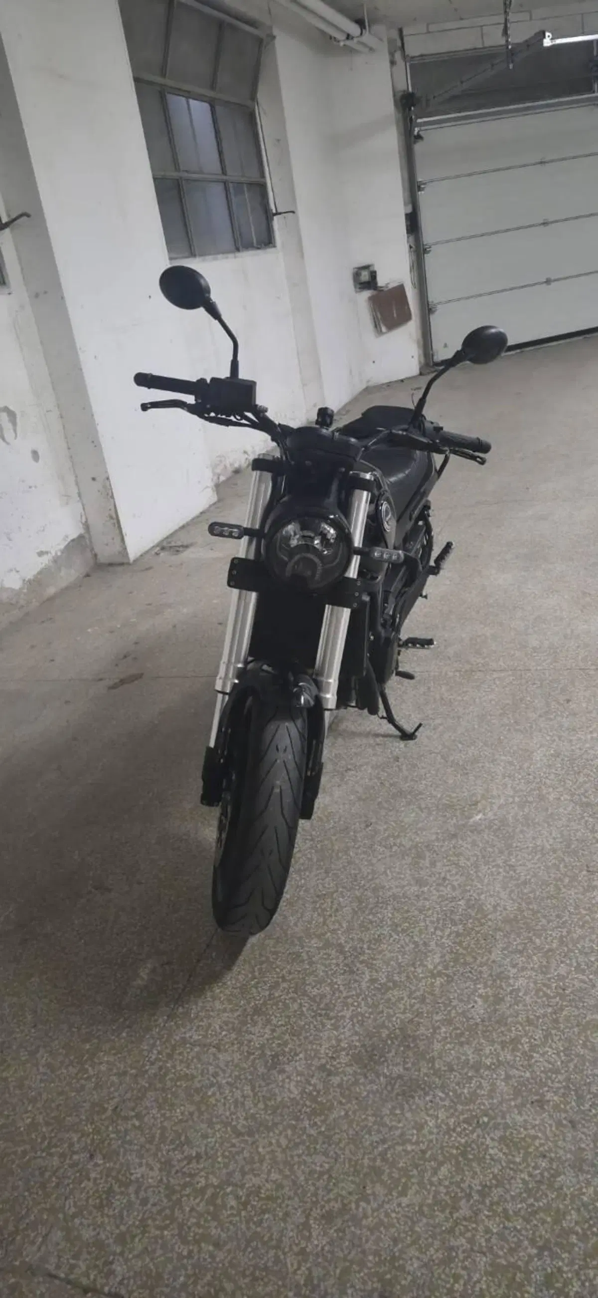 Benelli Leoncino 500 (2021 - 25) (4)