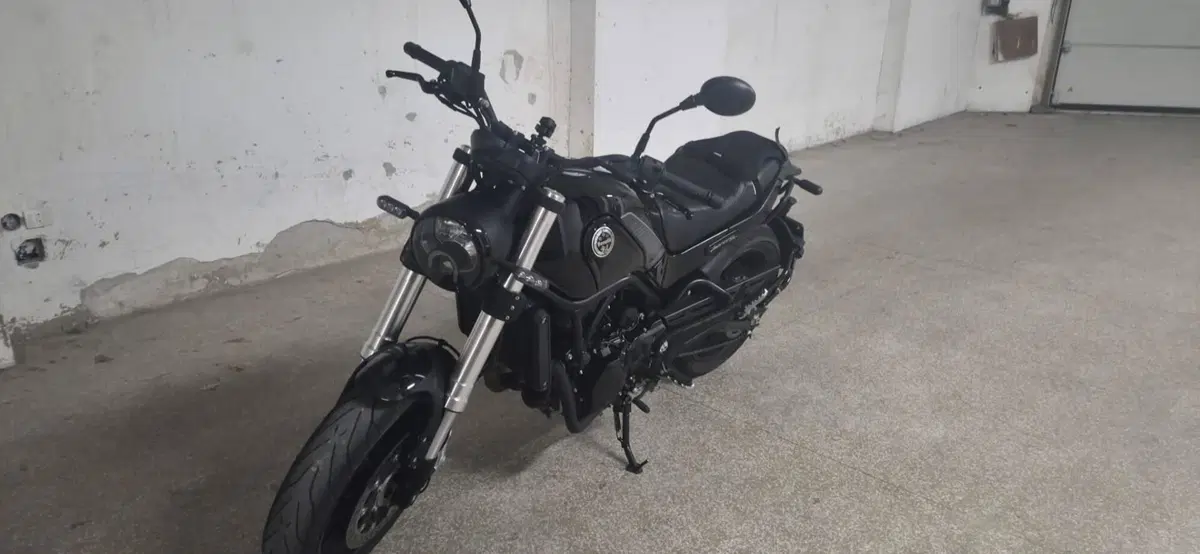 Benelli Leoncino 500 (2021 - 25) (5)