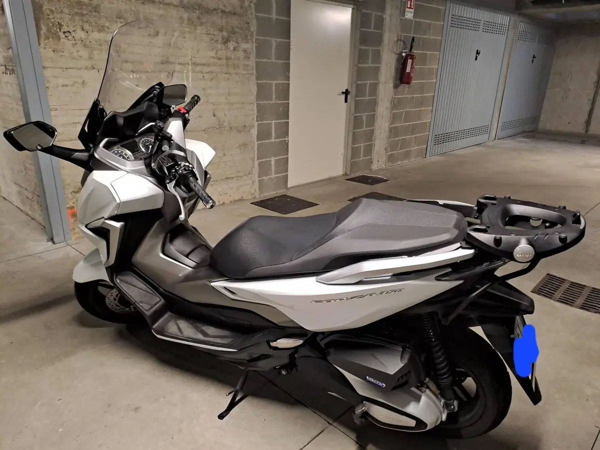Honda Forza 350 (2022 - 24) (4)