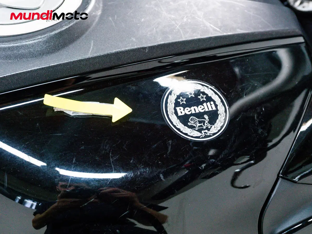 Benelli TRK 251 (2019 - 20) (19)
