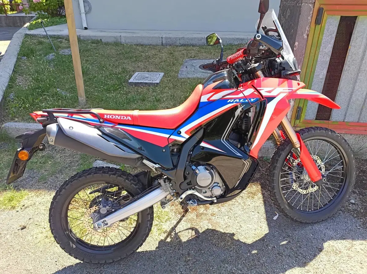 Honda CRF 300 Rally (2021 - 24) (5)