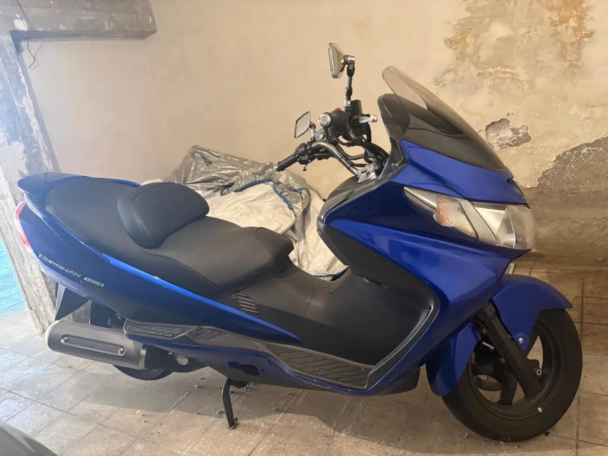 Suzuki Burgman AN 400 Type S (2005 - 06) (6)
