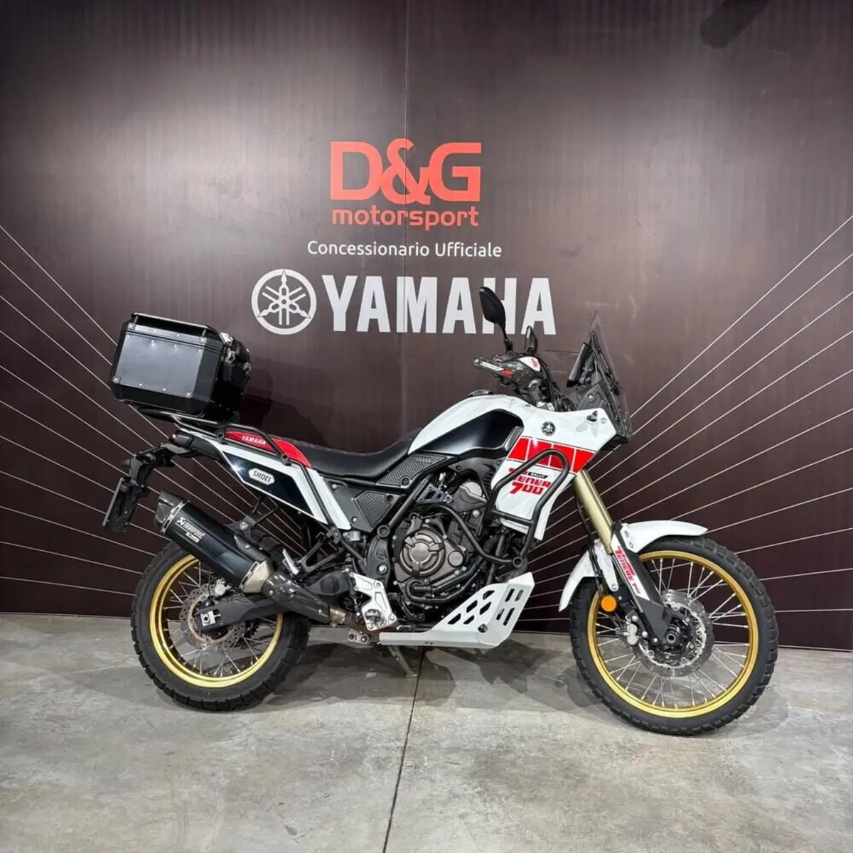Yamaha Ténéré 700 Rally Edition (2022 - 24)