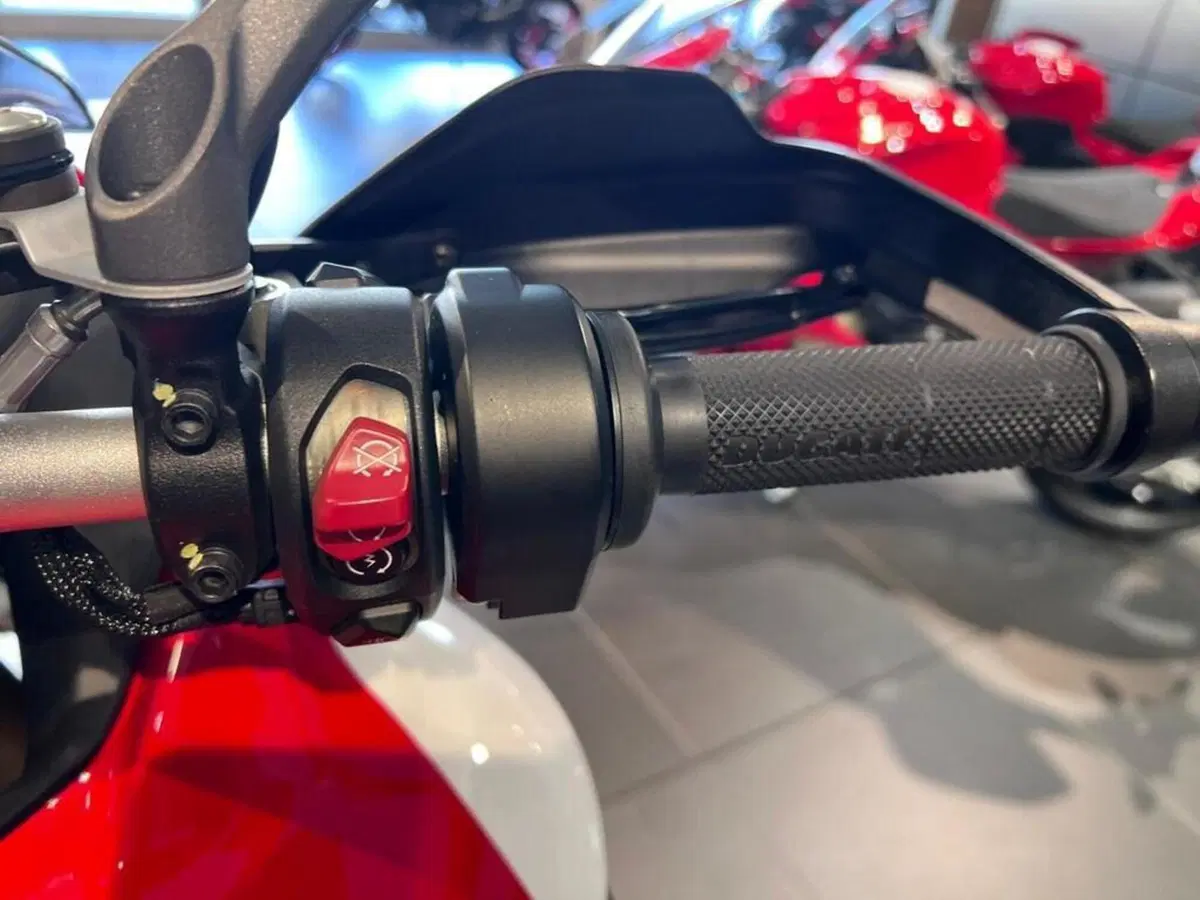 Ducati Multistrada V4 Pikes Peak (2021 - 24) (11)