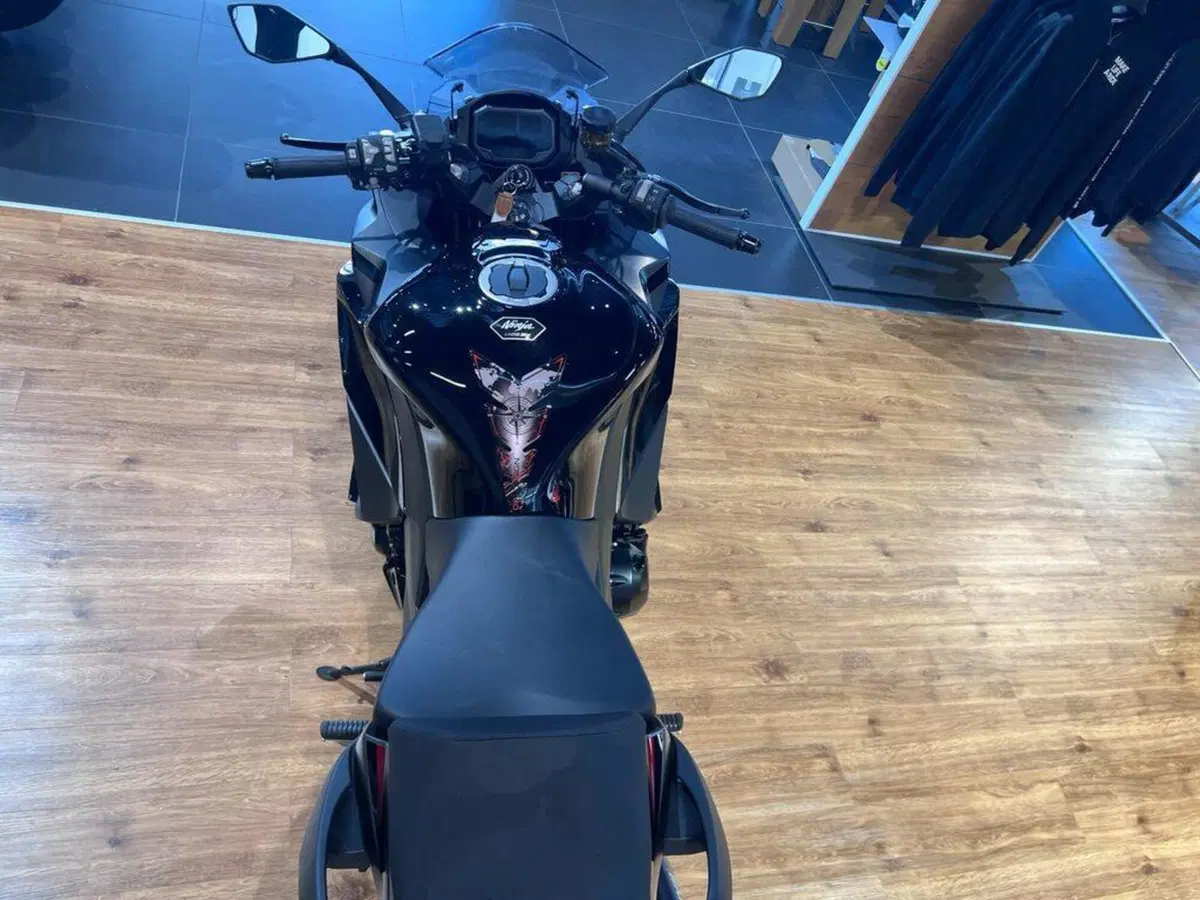 Kawasaki Ninja 1100 SX SE (2025 - 26) (7)