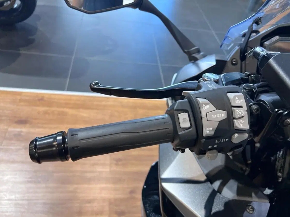 Kawasaki Ninja 1100 SX SE (2025 - 26) (11)