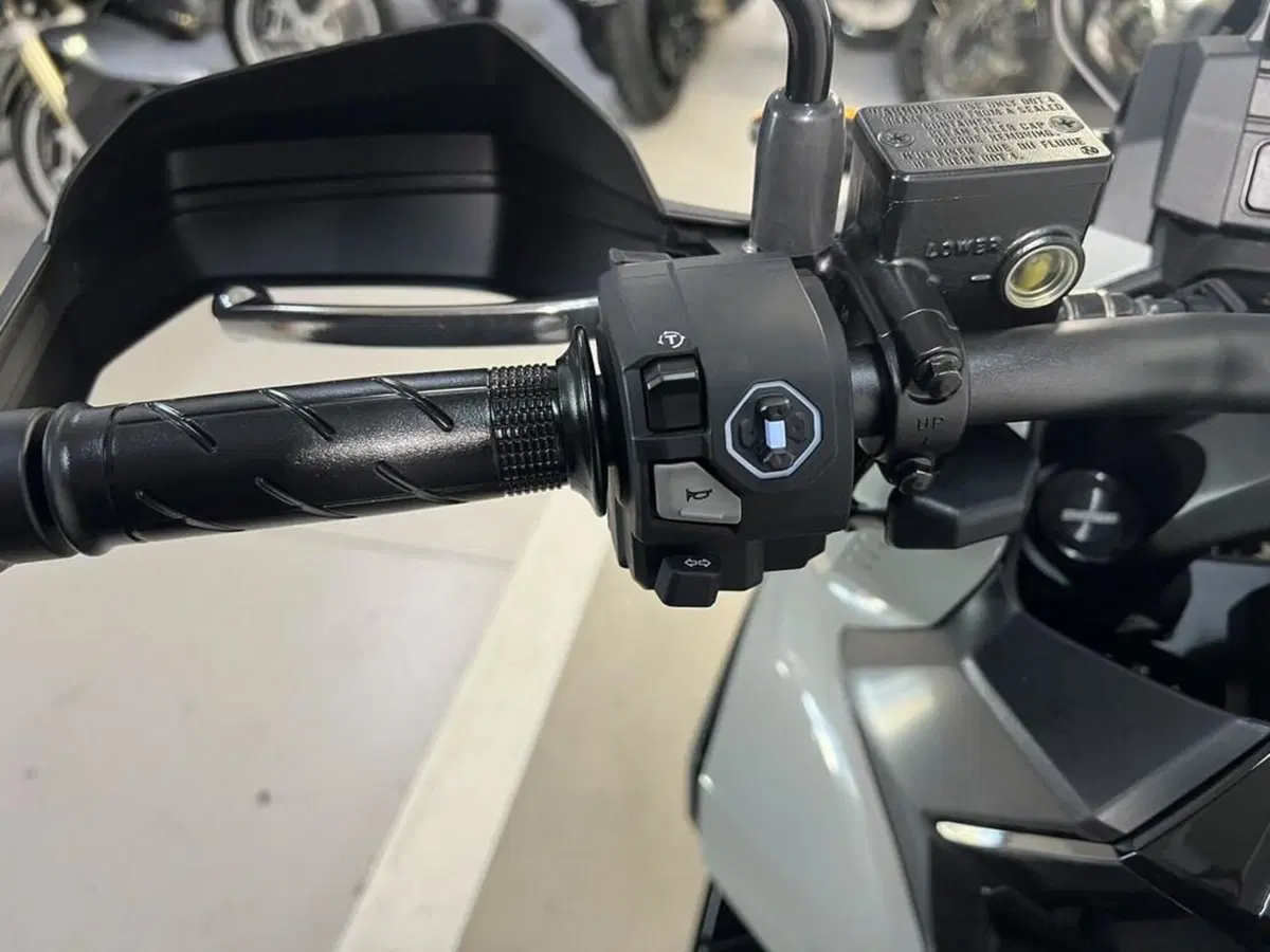 Honda ADV 350 (2022 - 24) (6)