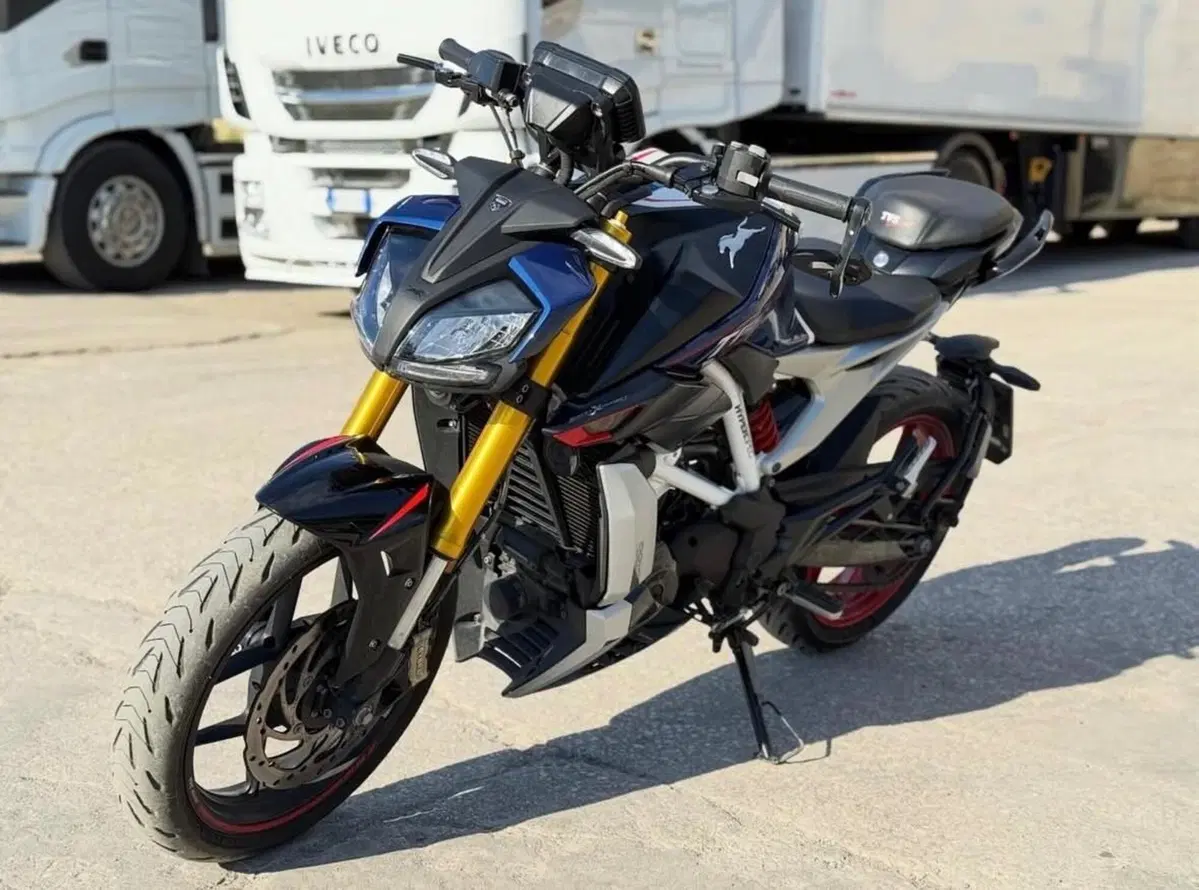 TVS Motor RTR 310 Plus (2024 - 26)