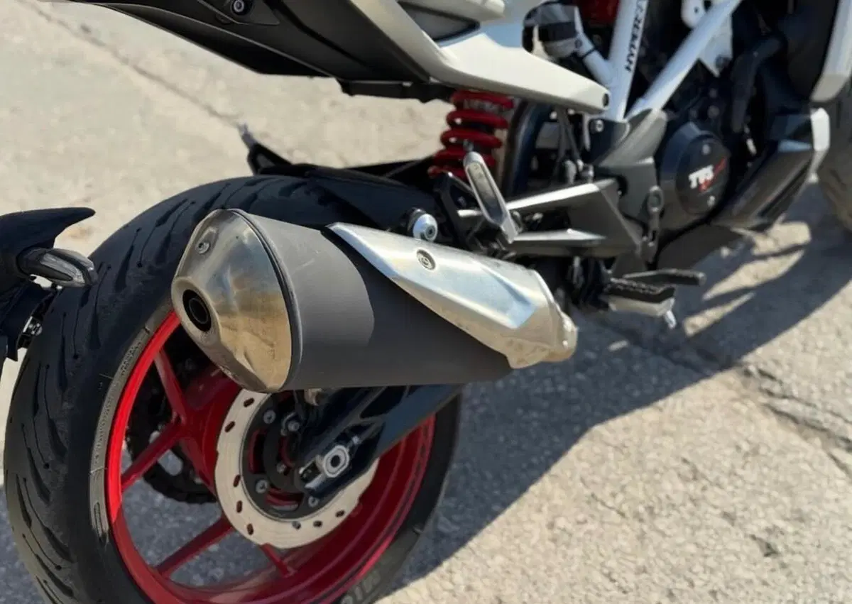 TVS Motor RTR 310 Plus (2024 - 26) (6)