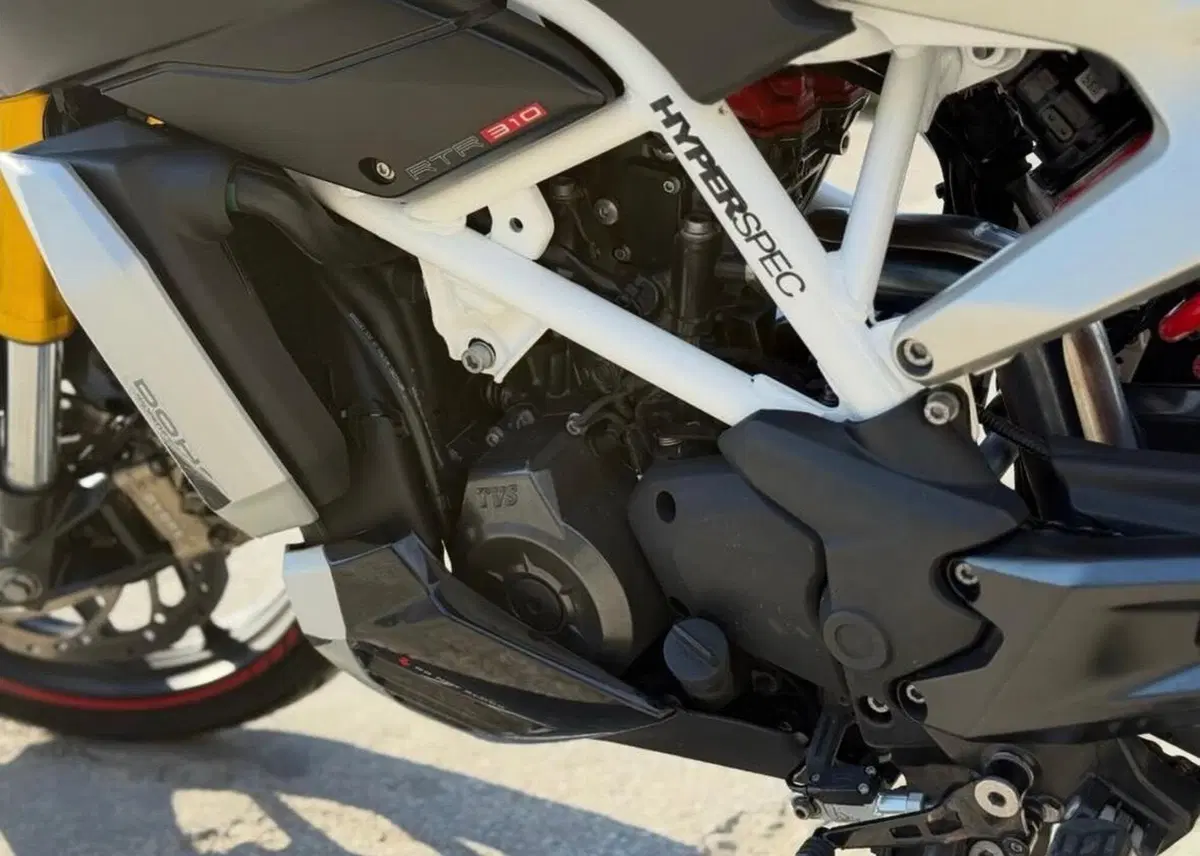TVS Motor RTR 310 Plus (2024 - 26) (7)