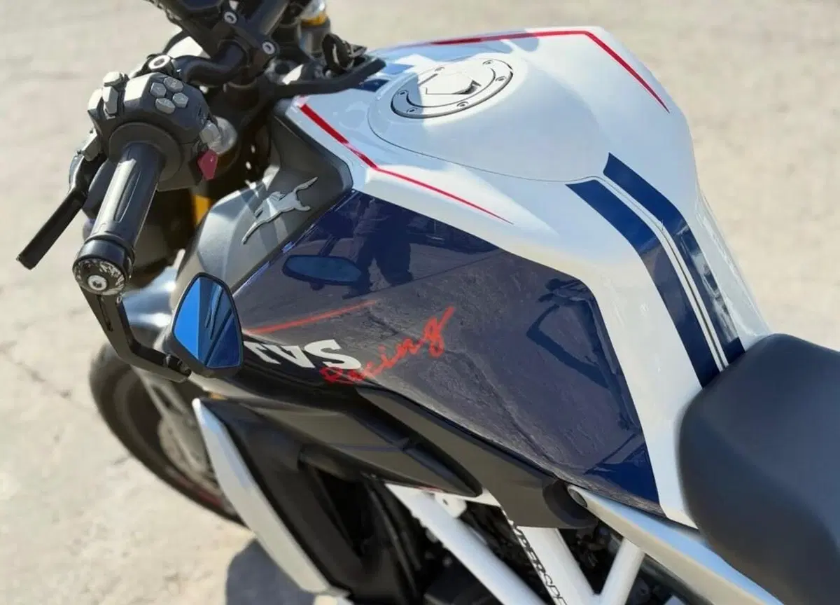 TVS Motor RTR 310 Plus (2024 - 26) (9)