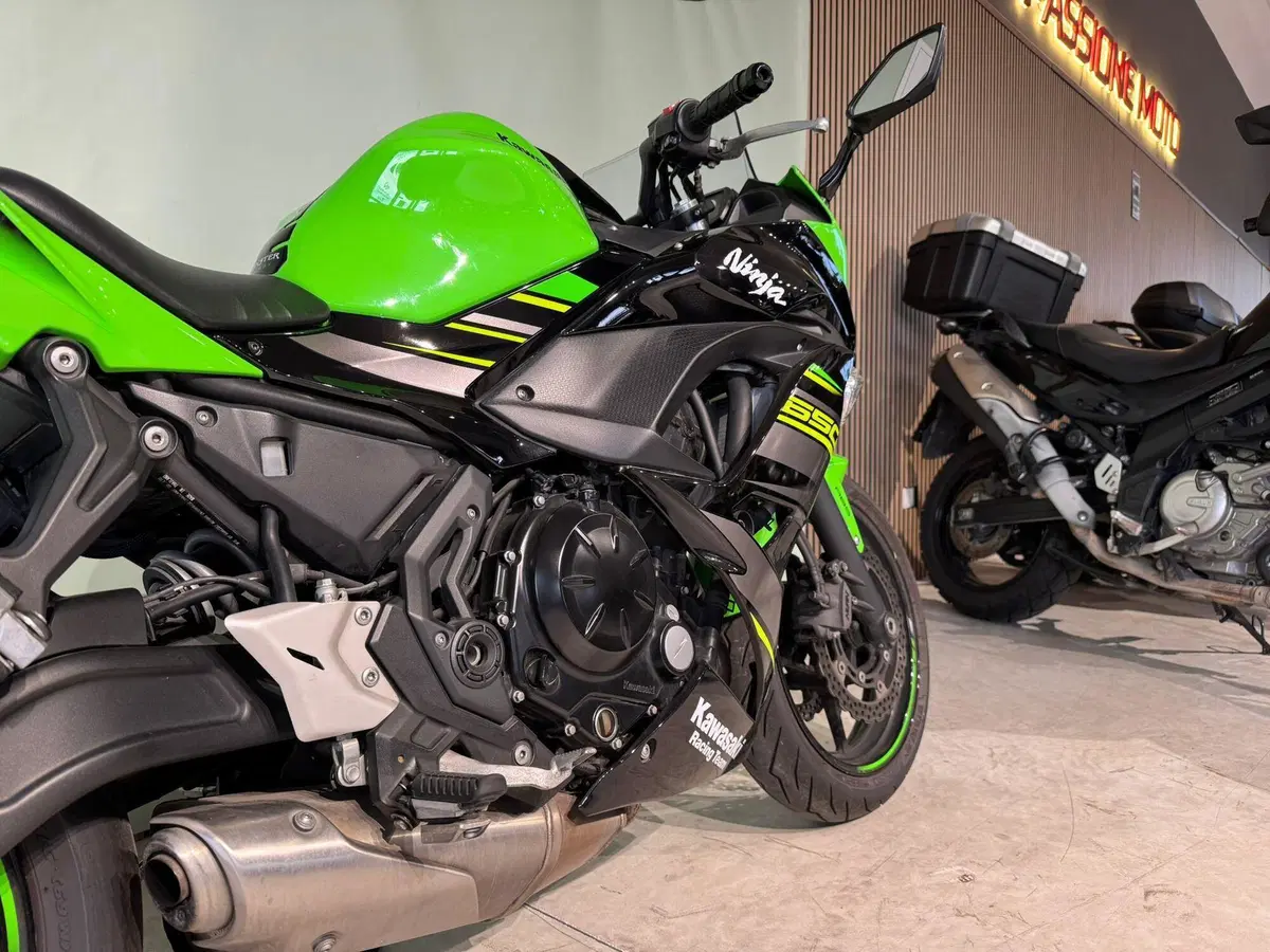 Kawasaki Ninja 650 (2017 - 19) (4)