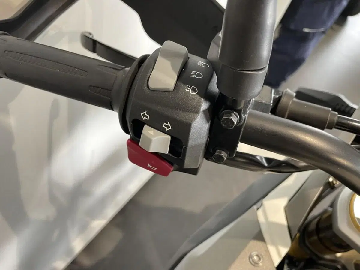 Bmw G 310 GS (2021 - 25) (8)