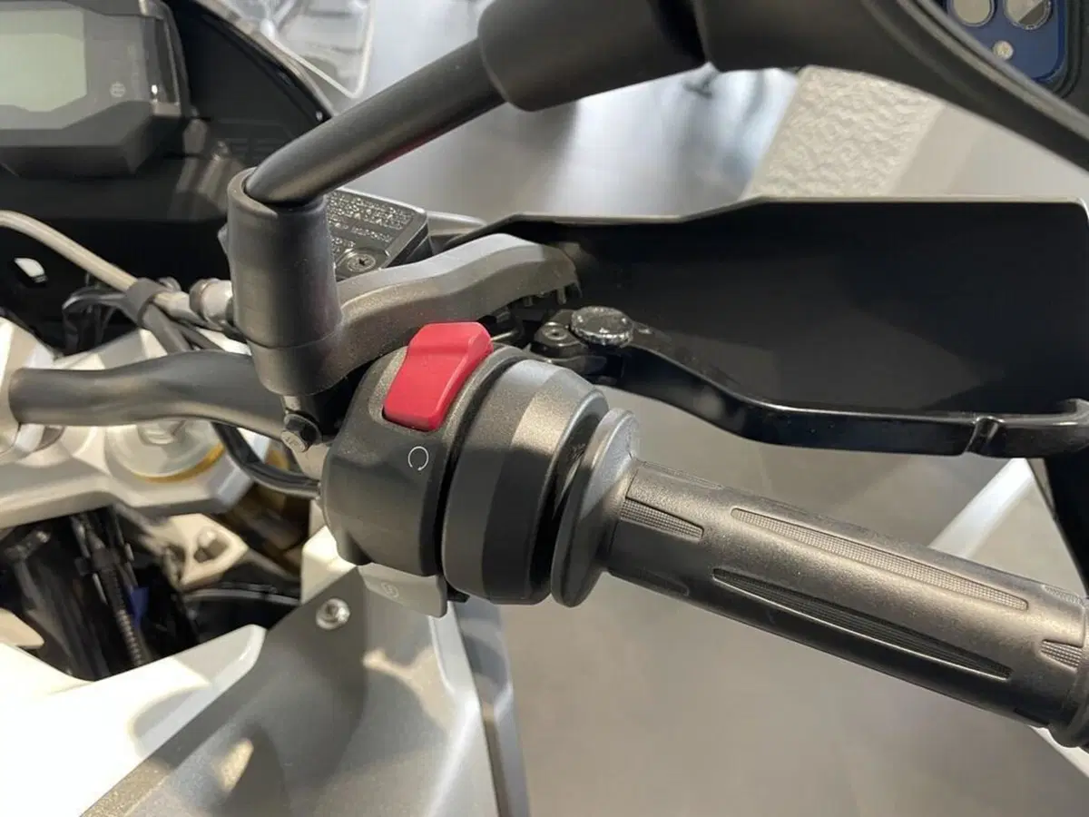 Bmw G 310 GS (2021 - 25) (10)