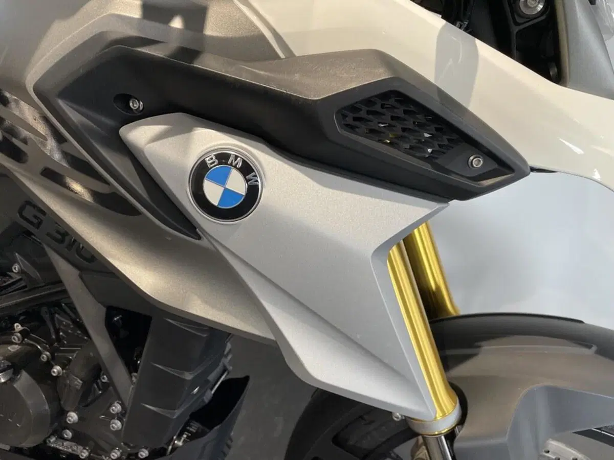Bmw G 310 GS (2021 - 25) (11)