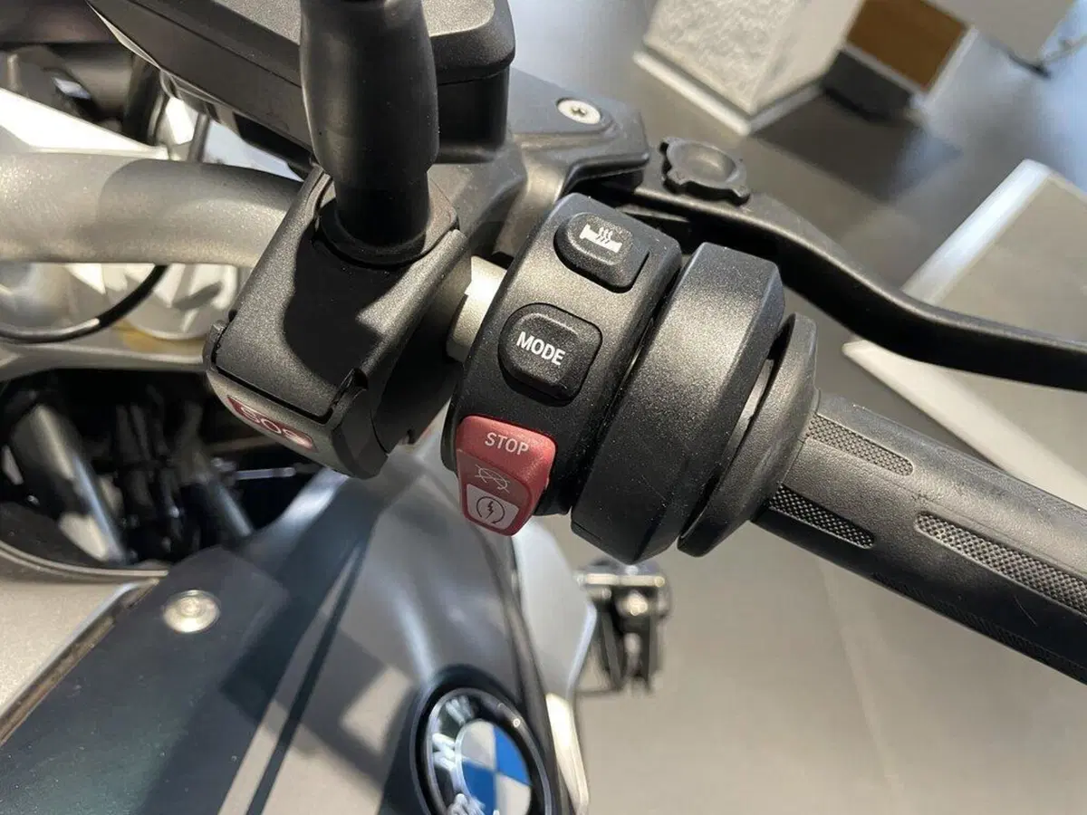 Bmw R 1250 R (2019 - 20) (10)