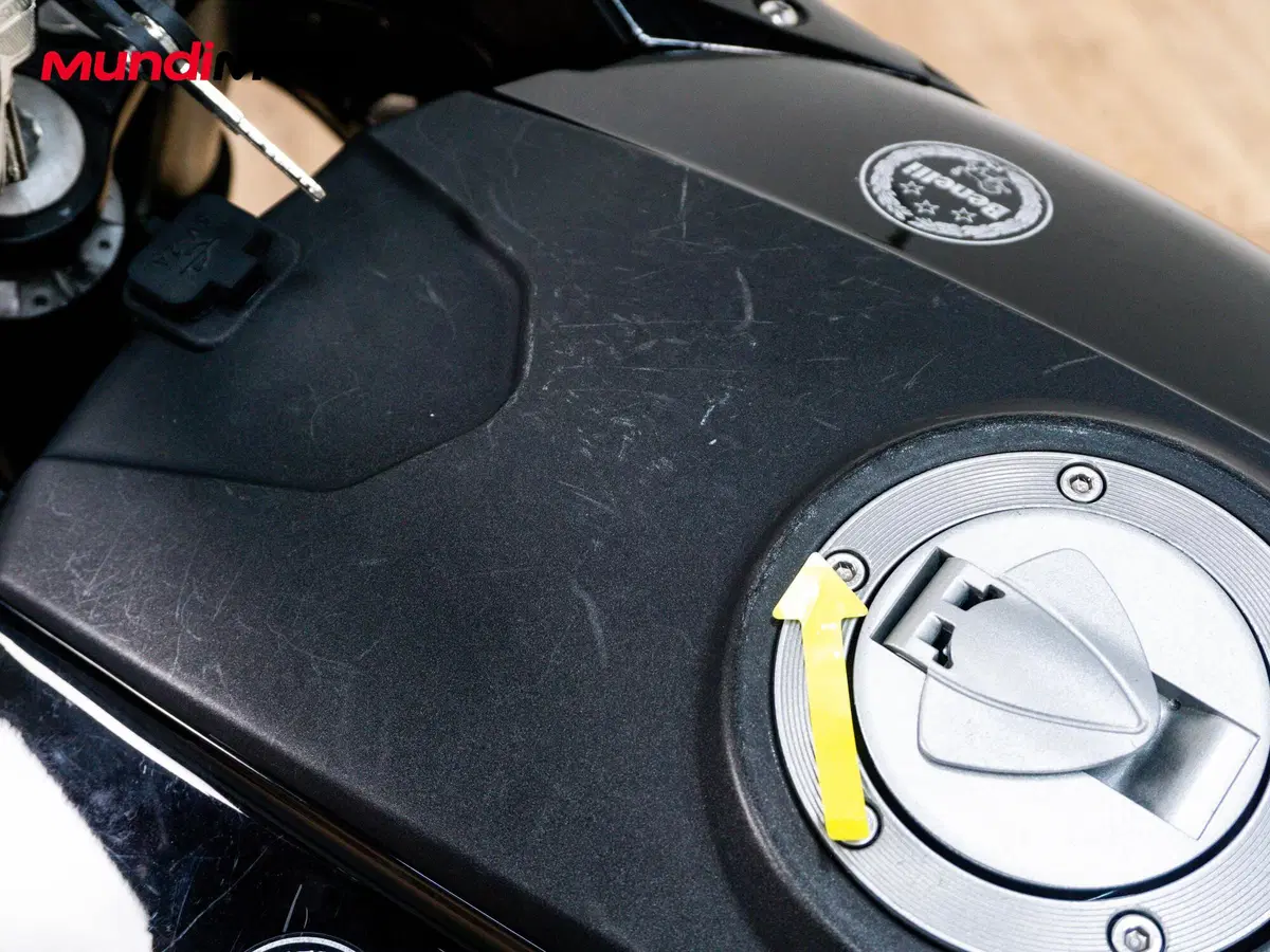 Benelli TRK 251 (2019 - 20) (14)