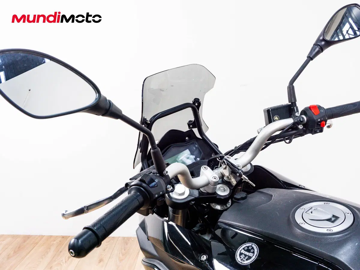 Benelli TRK 251 (2019 - 20) (11)