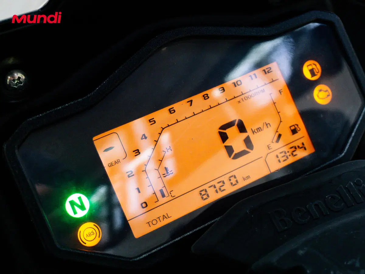 Benelli TRK 251 (2019 - 20) (12)