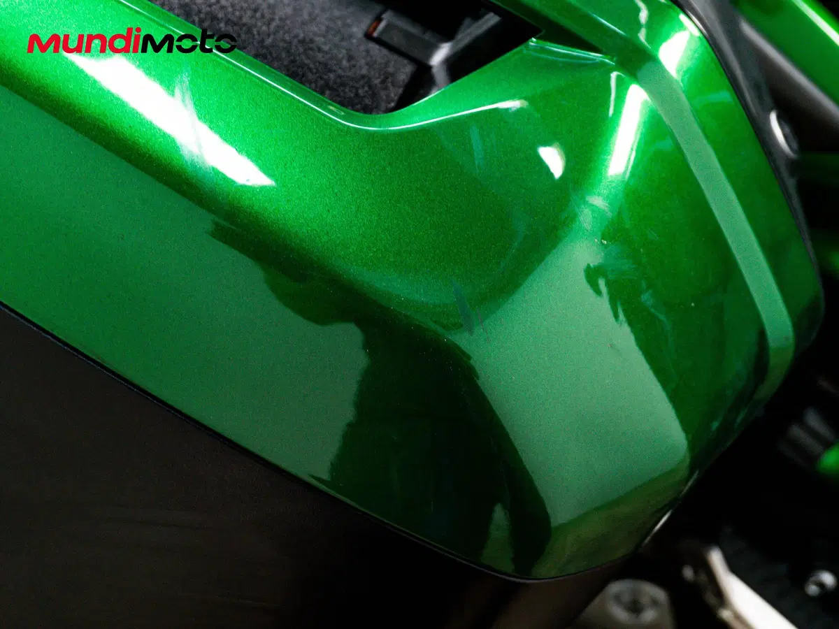 Kawasaki Ninja H2 SX SE (2022) (13)