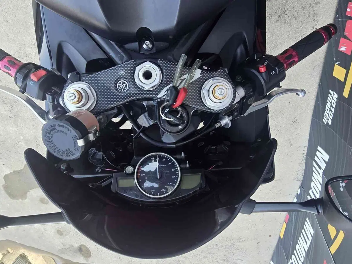 Yamaha YZF R6 (2006 - 07) (18)