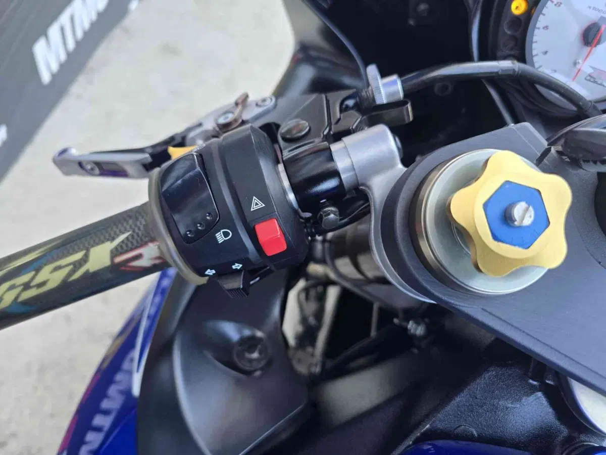Suzuki GSX R 600 (2006 - 07) (10)