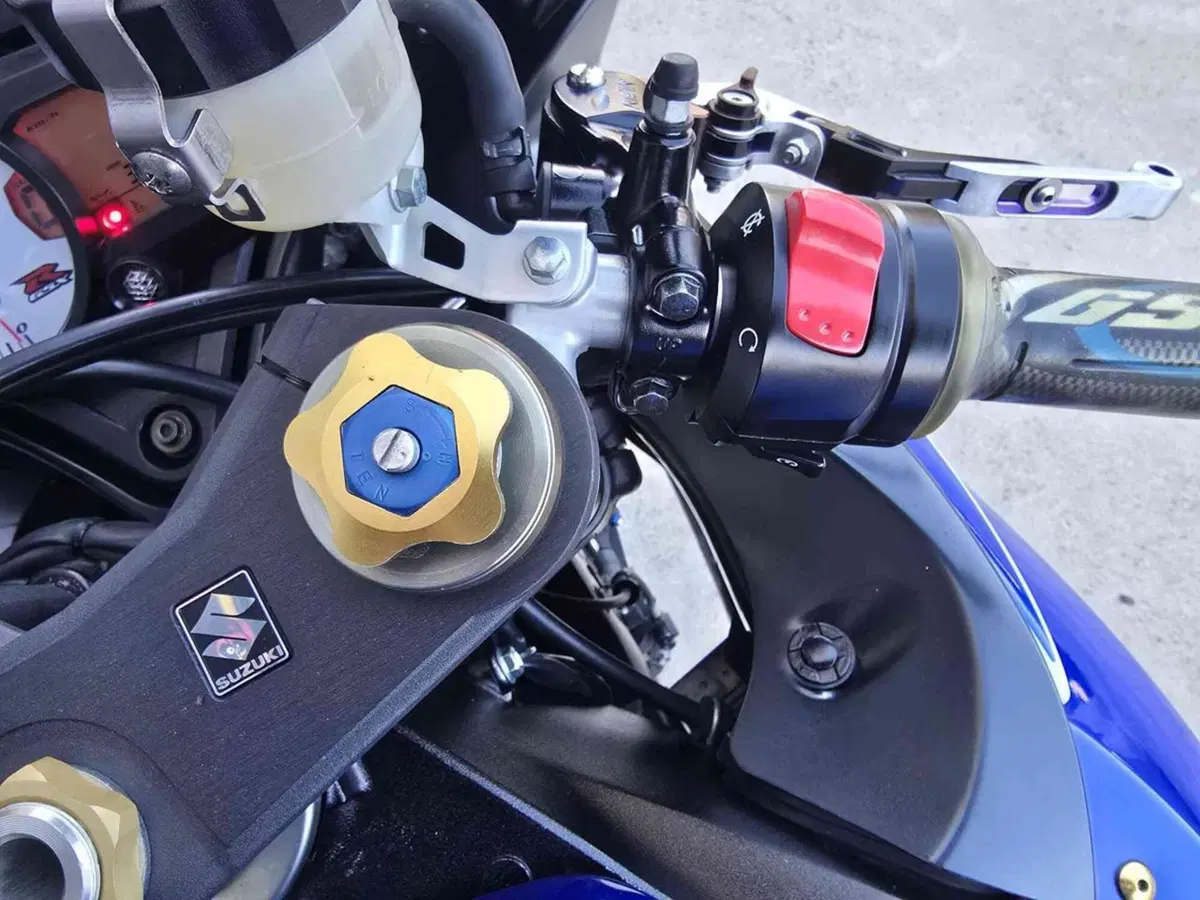 Suzuki GSX R 600 (2006 - 07) (11)